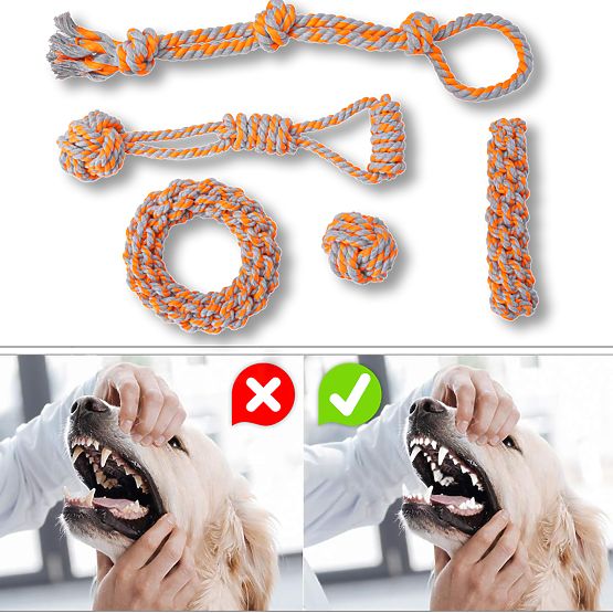 Set de jucării de tras pentru câini SPANKY 5 bucăți