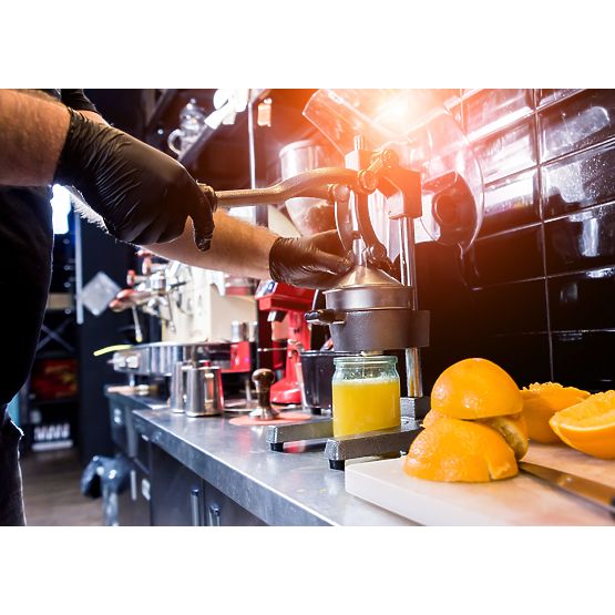 Storcător pentru citrice și rodii Verna