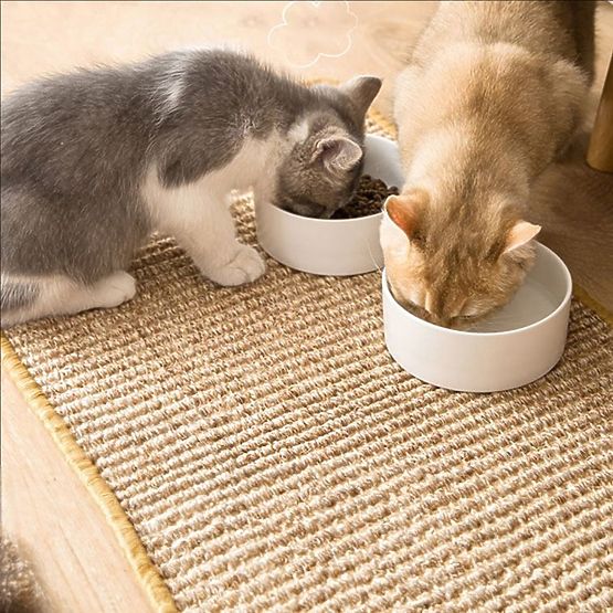 SUPORT DE SCRATCH PENTRU PISICĂ 60x40cm 332494