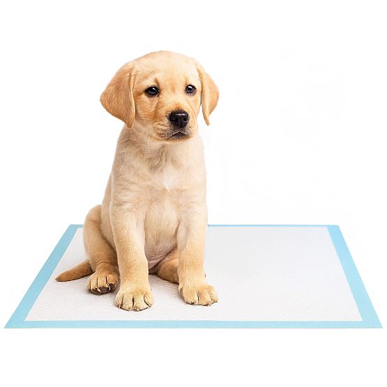 Tampoane igienice pentru animale BARRY 50 buc