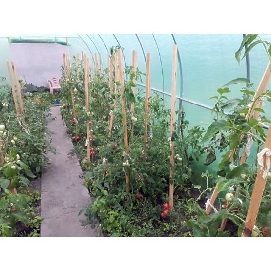 Tunel de folie - seră de grădină - 3x6 m