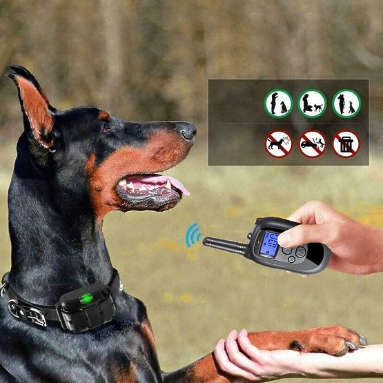 Zgarda electrică de dresaj pentru câini pj-098