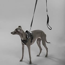 Lesă și ham pentru câine PJ-055 negru M