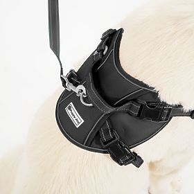 Lesă și ham pentru câine PJ-063 negru XL, PuppyJoy