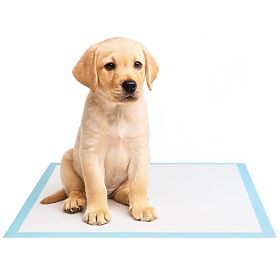 Pernuțe igienice pentru animale BARRY 60x90 50 buc