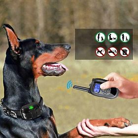 Zgarda electrică de dresaj pentru câini pj-098